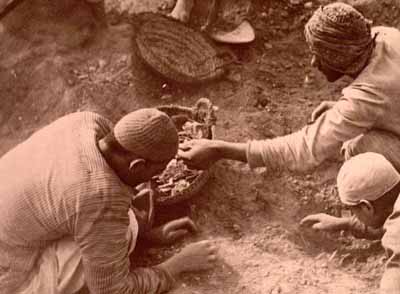 [Grenfell and Hunt's hired diggers gather papyrus fragments in a basket]